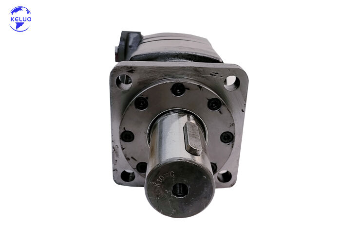 Heavy Duty Orbital Hydraulic Motor 119-1029-003 10000 Series Lsht Geroler Motor For Excavator Mining Equipment